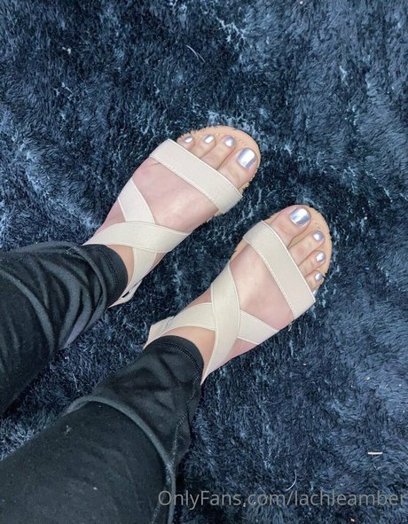 lachleamber onlyfans leaked naked