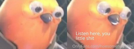 melissa cho chang free naked onlyfans