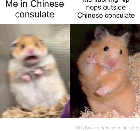 melissa cho chang free sex tape onlyfans