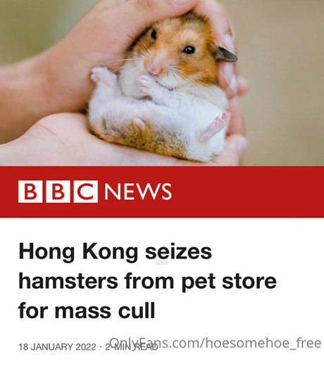 melissa cho chang free onlyfans porn nude