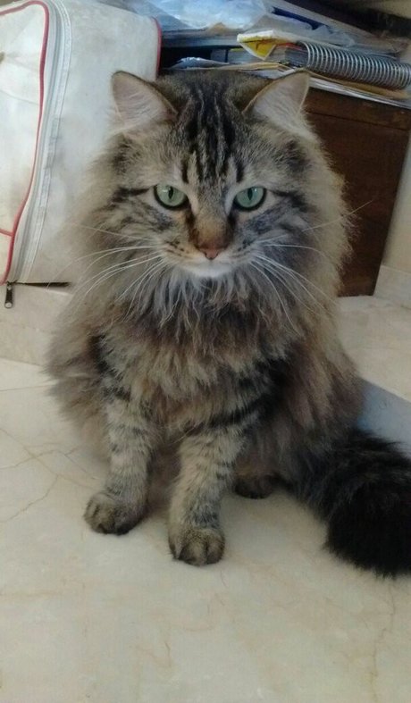 Vera Kaludi only fans nude