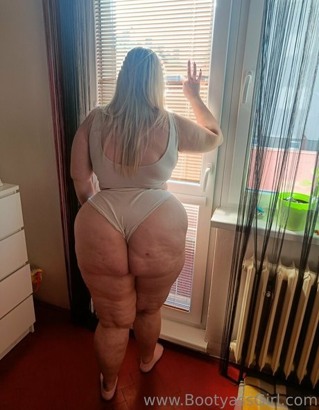 van life onlyfans free xxx picture