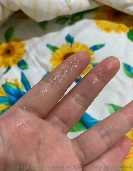 strawberry soju princess Profile image