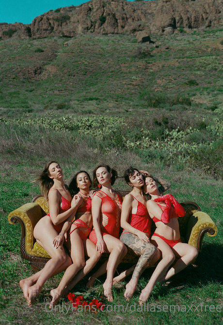 dallasemaxxfree fans only