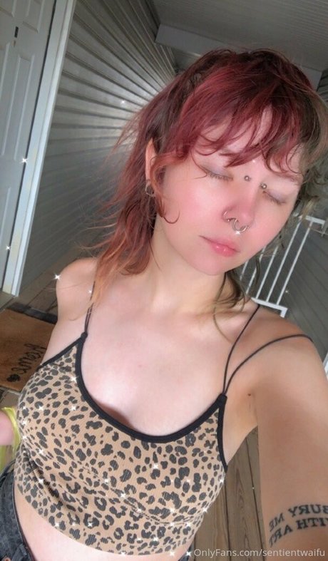 sentientwaifu only fans sex