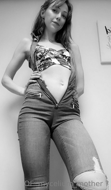 mycelium mother  visuals