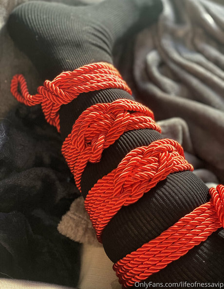 lifeofnessavip onlyfans leak new