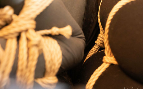 dojolifestyle onlyfans.