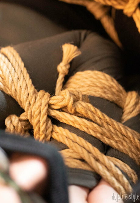 dojolifestyle onlyfans leaks