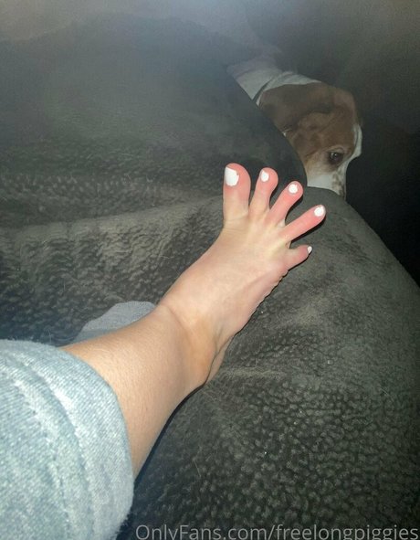 freelongpiggies onlyfans leaked photos