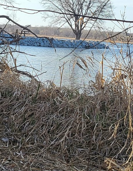 psychologist onlyfans hot naked scan