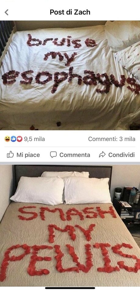 erszebetbathory666vip onlyfans gratis