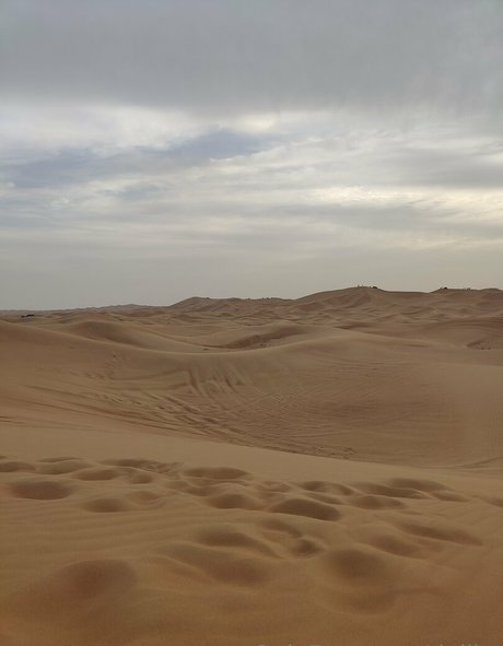 dejiko onlyfans leaked