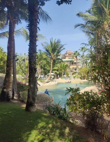 dejiko leaked onlyfans porn