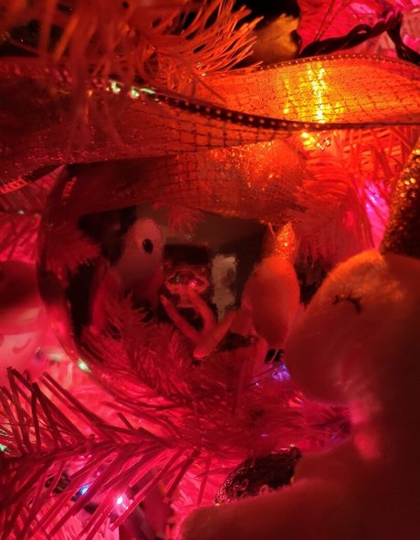 PDoctress strip onlyfans