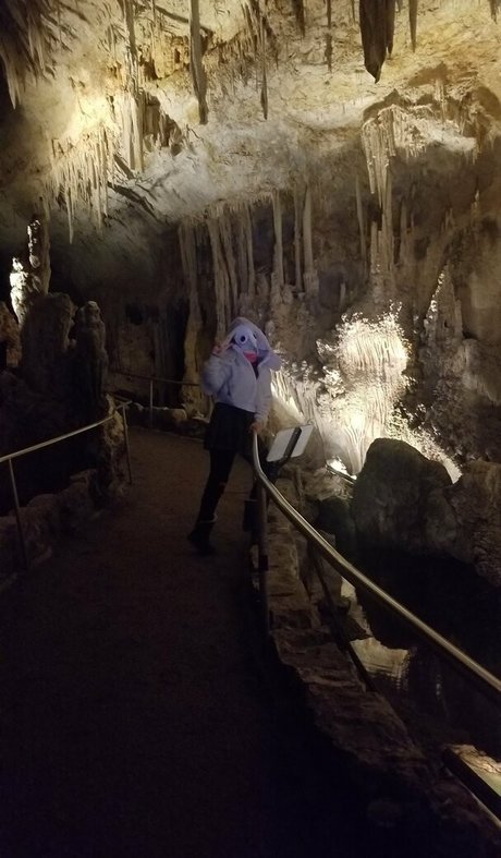 PDoctress leaked only fans