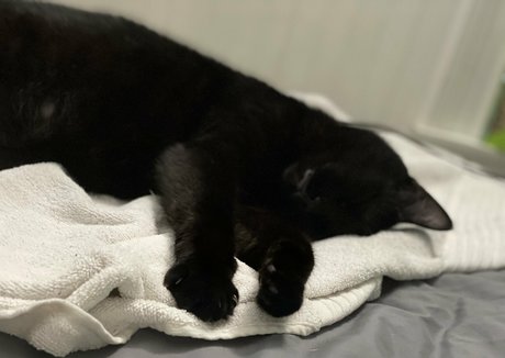 mommymelz onlyfans nude pictures