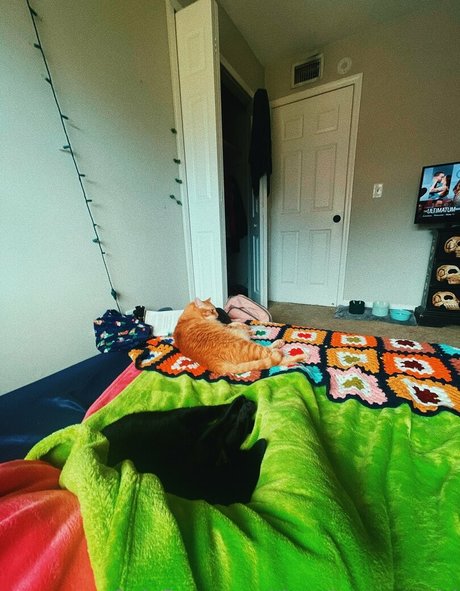 thatshortcutegirl leak onlyfans