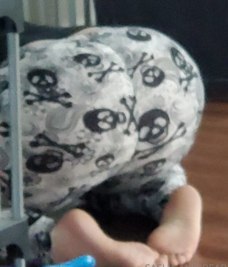 sashaandbear onlyfans sex leaked