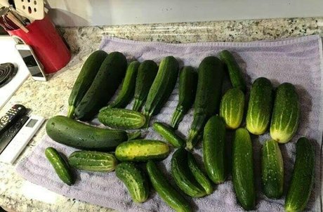 lovesamantha onlyfans nude pictures