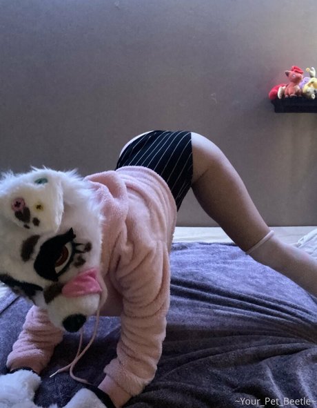 strwbrryinsides onlyfans leak ass