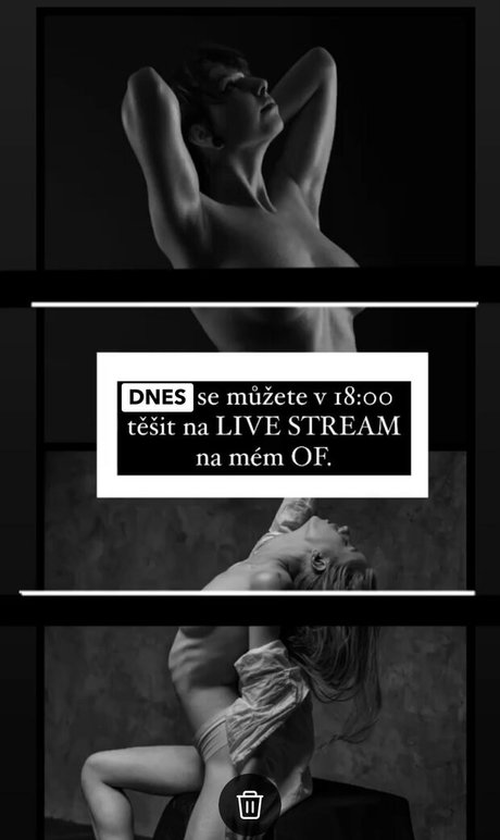 pgraphyfree onlyfans leaked.