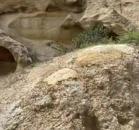 Sarai Fonseca leaked onlyfans pics