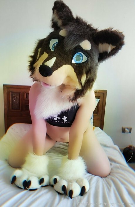 naughtycolliead onlyfans images