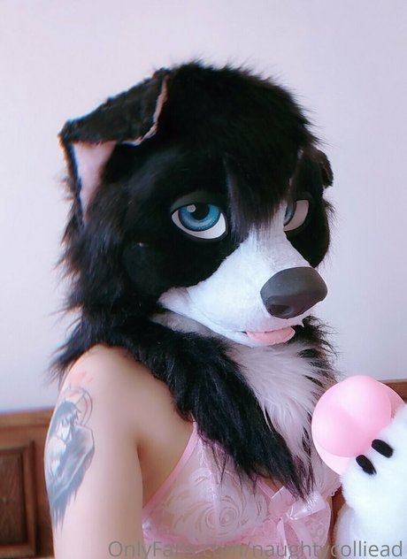 naughtycolliead only fans pic