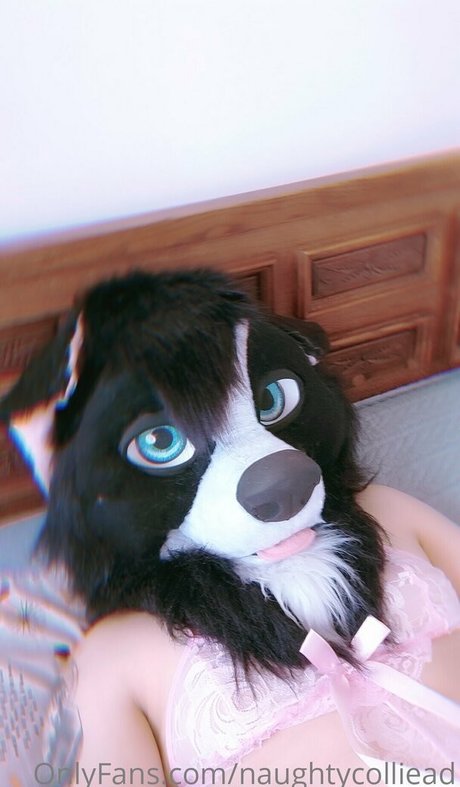 naughtycolliead onlyfans leak