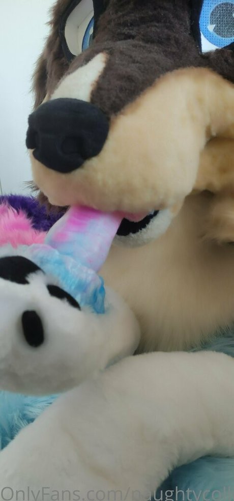 naughtycolliead sextape onlyfans