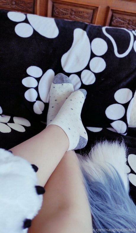 naughtycolliead onlyfans leams