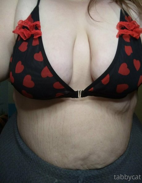 tabby cat95 onlyfans free porn