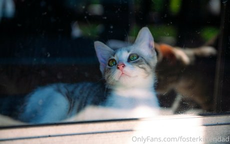 fosterkittendad naked leaked onlyfans
