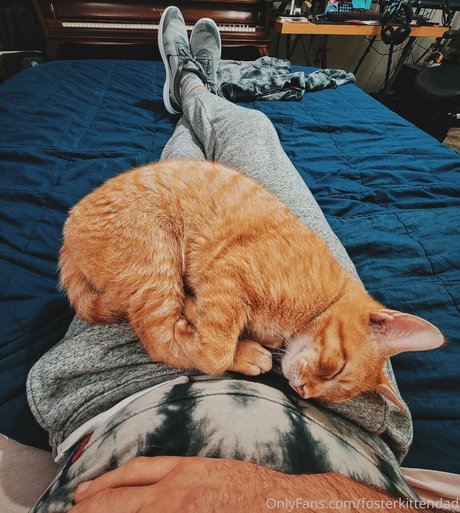 fosterkittendad only fans leak nude