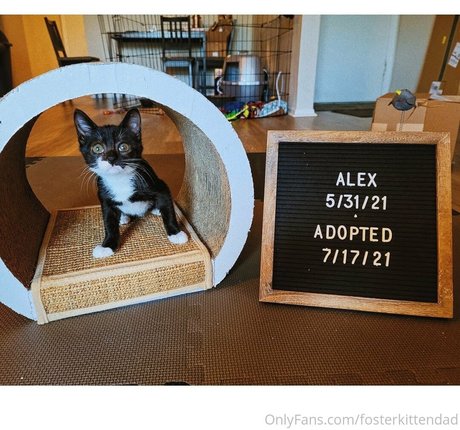 fosterkittendad only fans leak nude