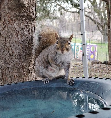 mikaylarainesfans onlyfans nude tits