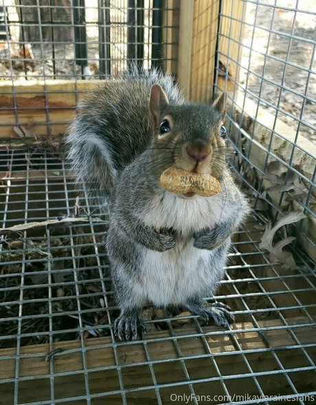 mikaylarainesfans porn leaked onlyfans