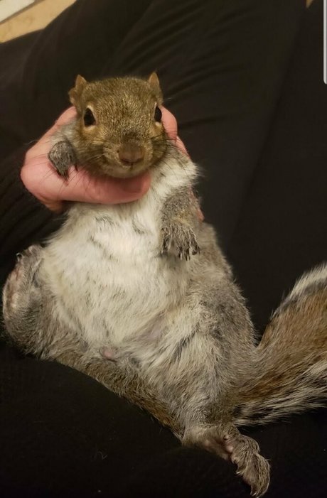 mikaylarainesfans onlyfans leams