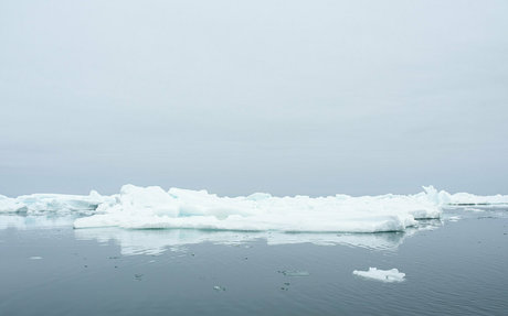 iceicelady onlyfans de