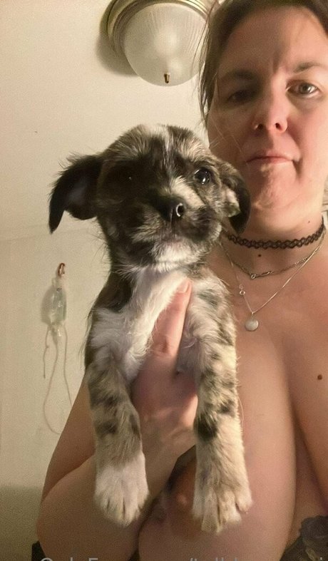 talldancermi leaked onlyfans photos