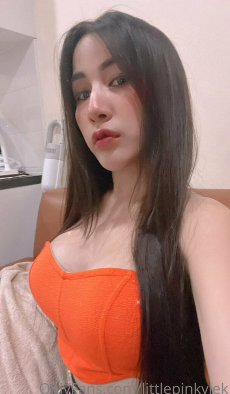 littlepinkylek onlyfans content type