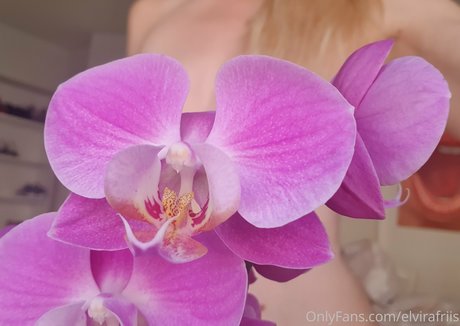 elvirafriis onlyfans fuck