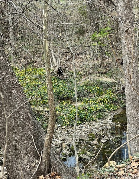 gay fuck onlyfans pornographic images