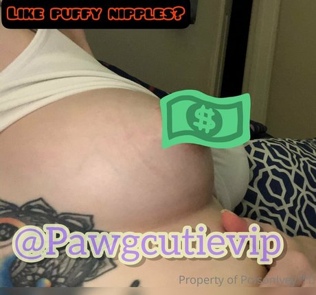 pawgcutie1 nude only fans