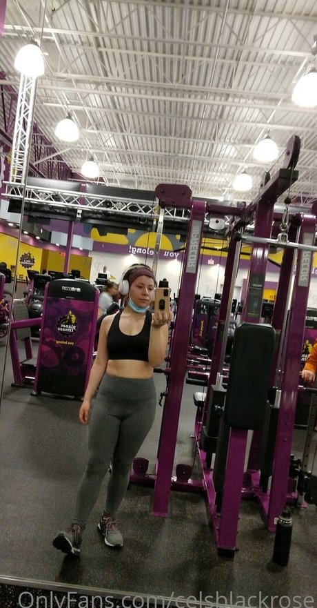 celsblackrose  visual