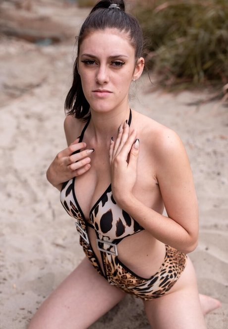 Sweet Rose Profile image