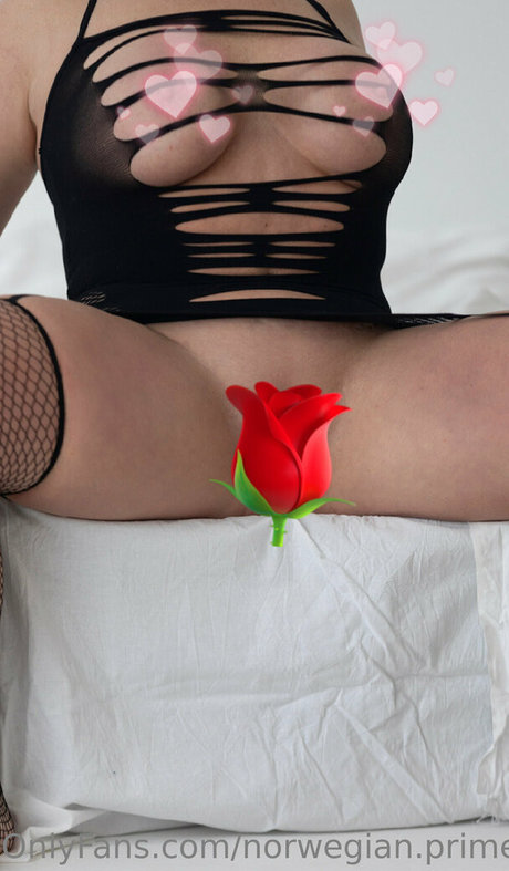 norwegian prime boobs onlyfans