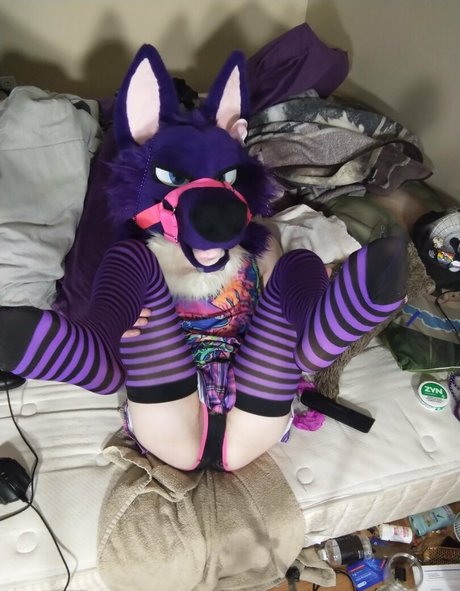 purplehuskymurr onlyfans nudes
