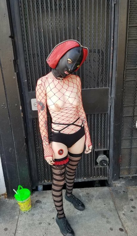 van life onlyfans hot sexy capture